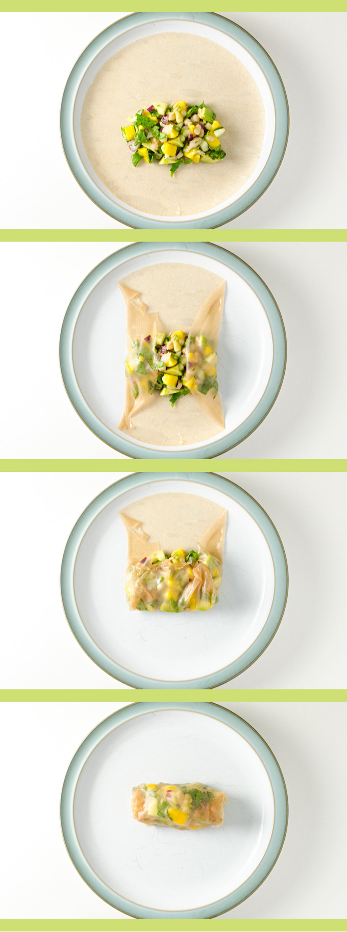 White Bean Mango Spring Rolls - the ingredients in this gluten-free vegan recipe also make a great salad or sandwich wrap! | VeggiePrimer.com