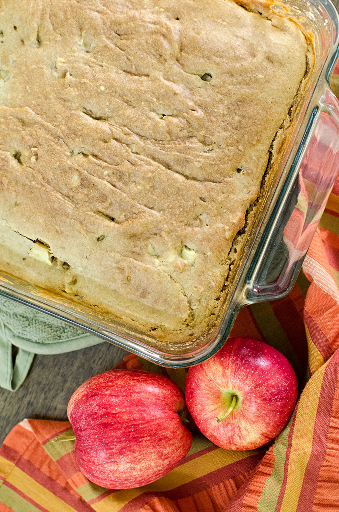Easy Gluten-Free Apple Snack Cake - mix and bake this simple vegan recipe in the same pan! | VeggiePrimer.com