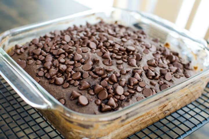 Vegan, gluten-free chocolate snack cake with chocolate chips on top in a glass baking dish